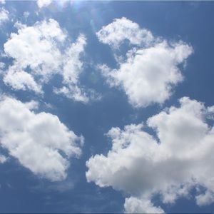 Meet your Posher, Ginger